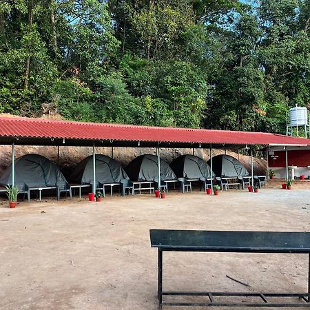 The Nest Bettathur Coorg Campsite Hotel Madikeri Kültér fotó